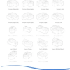 Conservatory Identifier